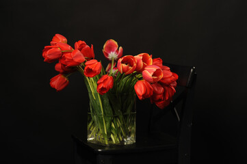 square glass vase with tulips on black background