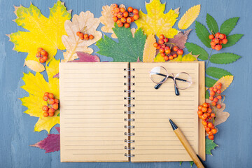 Blank lined craft notebook, pen and glasses on a background of autumn dry colorful leaves.