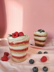Trifles with blueberry and raspberry 