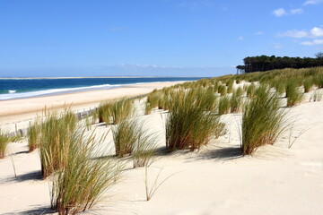 France, côte Aquitaine, la Teste de Buch, le site naturel de la plage de la Lagune et l'océan Atlantique.