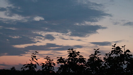 Glow of evening portrait 1