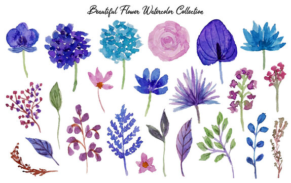 set of beautiful flowers watercolor
