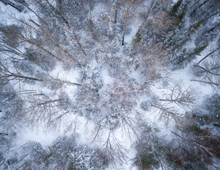 Aerial Winter Landscape