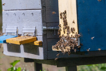 Fototapete bei efototapeten.de bestellen   