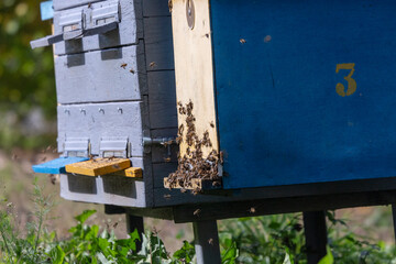 Fototapete bei efototapeten.de bestellen   