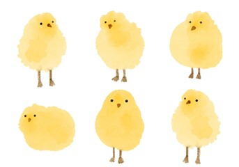 Set Of Little Watercolor Chickens. Cute easter chickens in different poses.