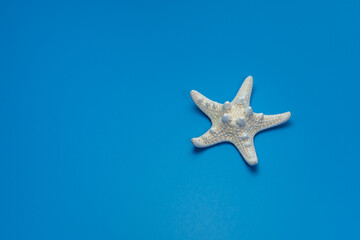 Fototapeta na wymiar Starfish isolated on a blue background. One dried five finger fish or sea star macro. Summer vacations and sea holidays design element for greeting card