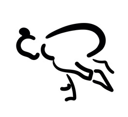 concise drawings depicting yoga poses