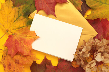 Naklejka na ściany i meble empty card mockup with autumn leaves and dry flowers