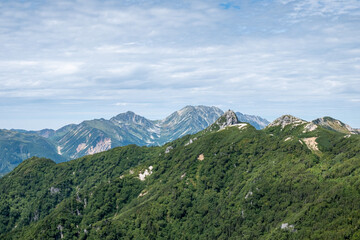 Fototapeta premium 緑の山並み