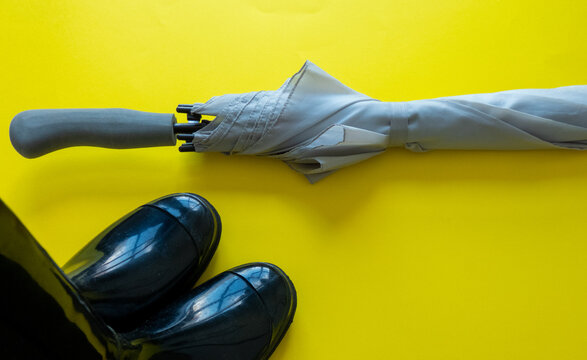 Rain-Boots Images – Browse 176 Stock Photos, Vectors, and Video | Adobe