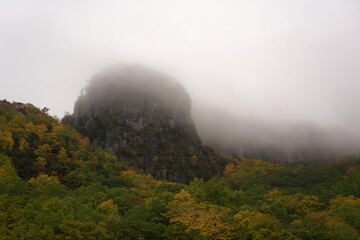 紅葉の始まった岩山が曇天の空に霧に霞んで見えていた