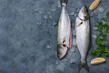 Fresh fish bluefish  with ice, salt and lemon on a blue background