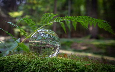 Glass lens ball with forest reflection - ecological concept