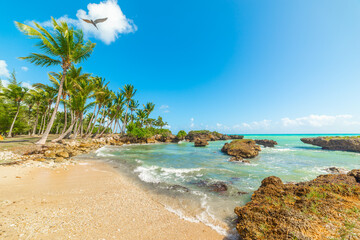 Rocks and sand in beautiful Bas du Fort shore in Guadeloupe