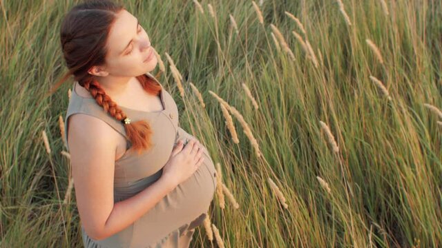 young happy beautiful pregnant woman walks in field among dry fluffy grass at sunset, relaxation on summer nature, preparation for childbirth, healthy motherhood