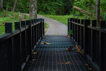 Old moody look bridge in dark scene in the park. Unused lonely bridge in the park, dried leaves falling on it. 