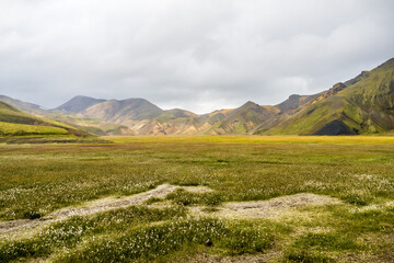 Fototapeta na wymiar Colofful mountains of Landmannalaugar