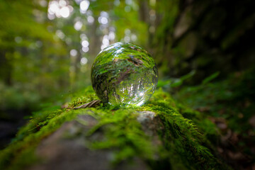 Glass lens ball with forest reflection - ecological concept