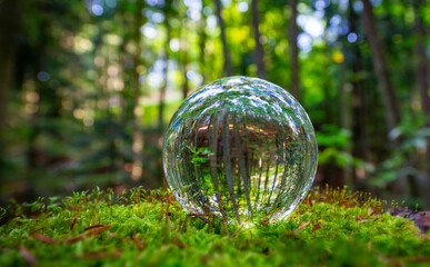 Fototapeta na wymiar Glass lens ball with forest reflection - ecological concept