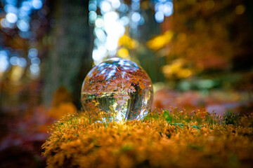 Glass lens ball with forest reflection - ecological concept