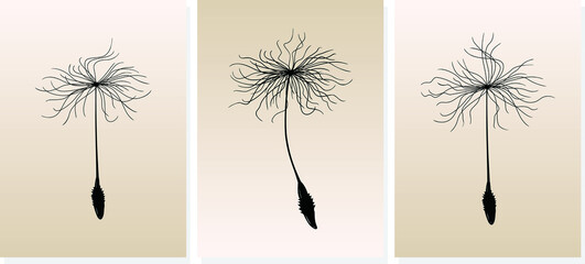 Three flying seeds of a dandelion for decoration on 

