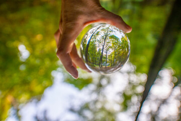 Glass lens ball with forest reflection - ecological concept