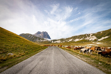 Campo Imperatore