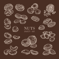 Sketch set of nuts on a dark background. Hand drawing of walnut, hazelnut, pistachio, peanut, macadamia. Botanical illustration in retro style.