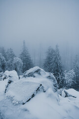 Foggy and frozen winter nature in the german mountains with frozen white pine trees. Cold and frozen hiking adventures with misty nature. Harz Mountains National Park in Germany