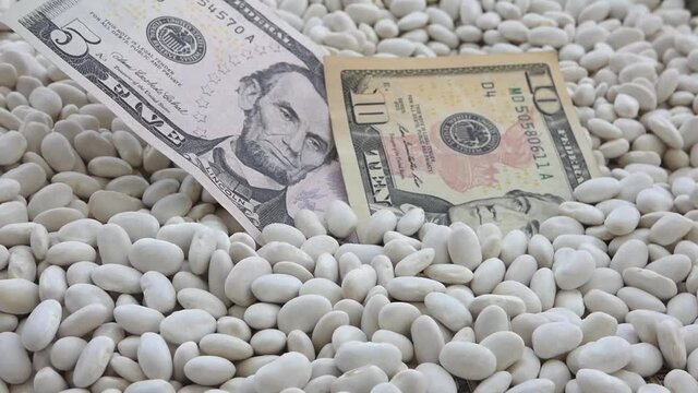 close-up of 5 and 10 dollars standing on white beans,
