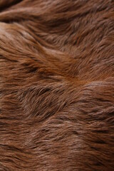 Animal fur texture Background hair brown caramel color