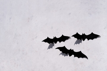 Trendy minimalistic concrete background for the Halloween holiday. Boo word. Black bat.