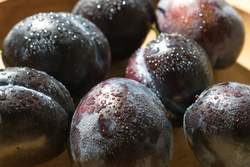 Large plums, freshly picked, sprinkled with water. Drops of water on the surface of the fruit.