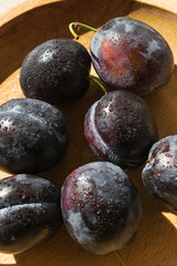 Large plums, freshly picked, sprinkled with water. Drops of water on the surface of the fruit.