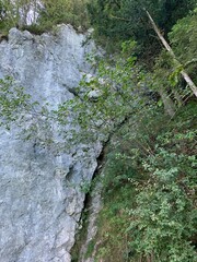 Strobl