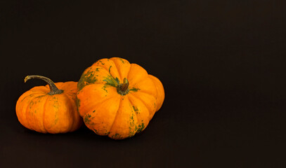 Pumpkins on a black background. Background with copy space.