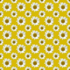 Floral Camomile pattern on a Orange background. Flat lay, top view. Seamless background, Holiday concept