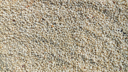 Fresh coffee that is processed by peeling for drying and roasting to give the coffee aroma and ready to be sold or exported to be processed into beverages at home and coffee shops.