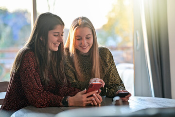 twin sisters are browsing on their mobile at home or are chatting with their friends  on a social...