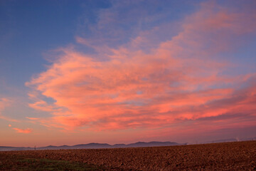 Cielo Rojo