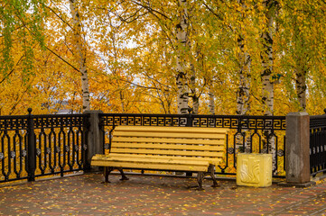 autumn bench