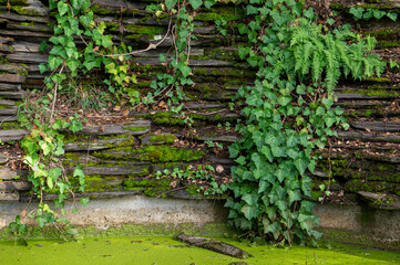 Fototapeta na wymiar green stone wall