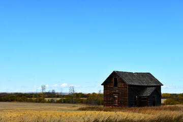 An image of an old abandoned rural homestead in late autumn. 