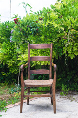 Obraz premium Vintage empty chair in the green garden on sunny day; vertical
