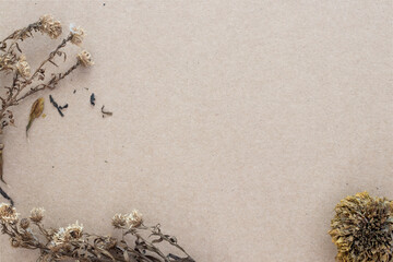 Dried flowers on rustic brown planks background