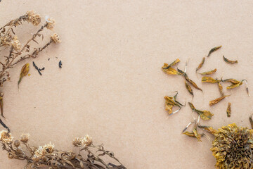 Dried flowers on rustic brown planks background