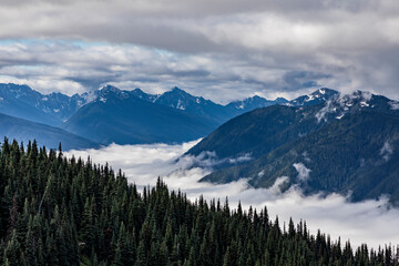 blue skies and clouds  partially covering the Olympic mountain range as viewed from Hurricane Ridge trail in Olympic National park in Washington.