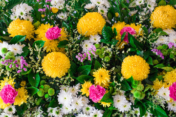 Many colorful flowers are prepared.