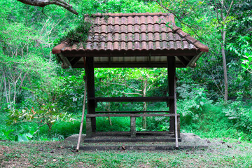 Beautiful old sala in the forest.